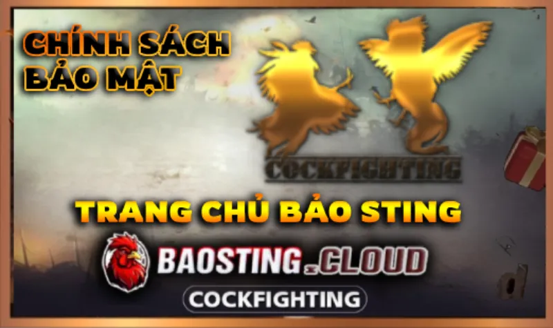 Chính Sách Bảo Mật BAOSTING Chính sách bảo mật