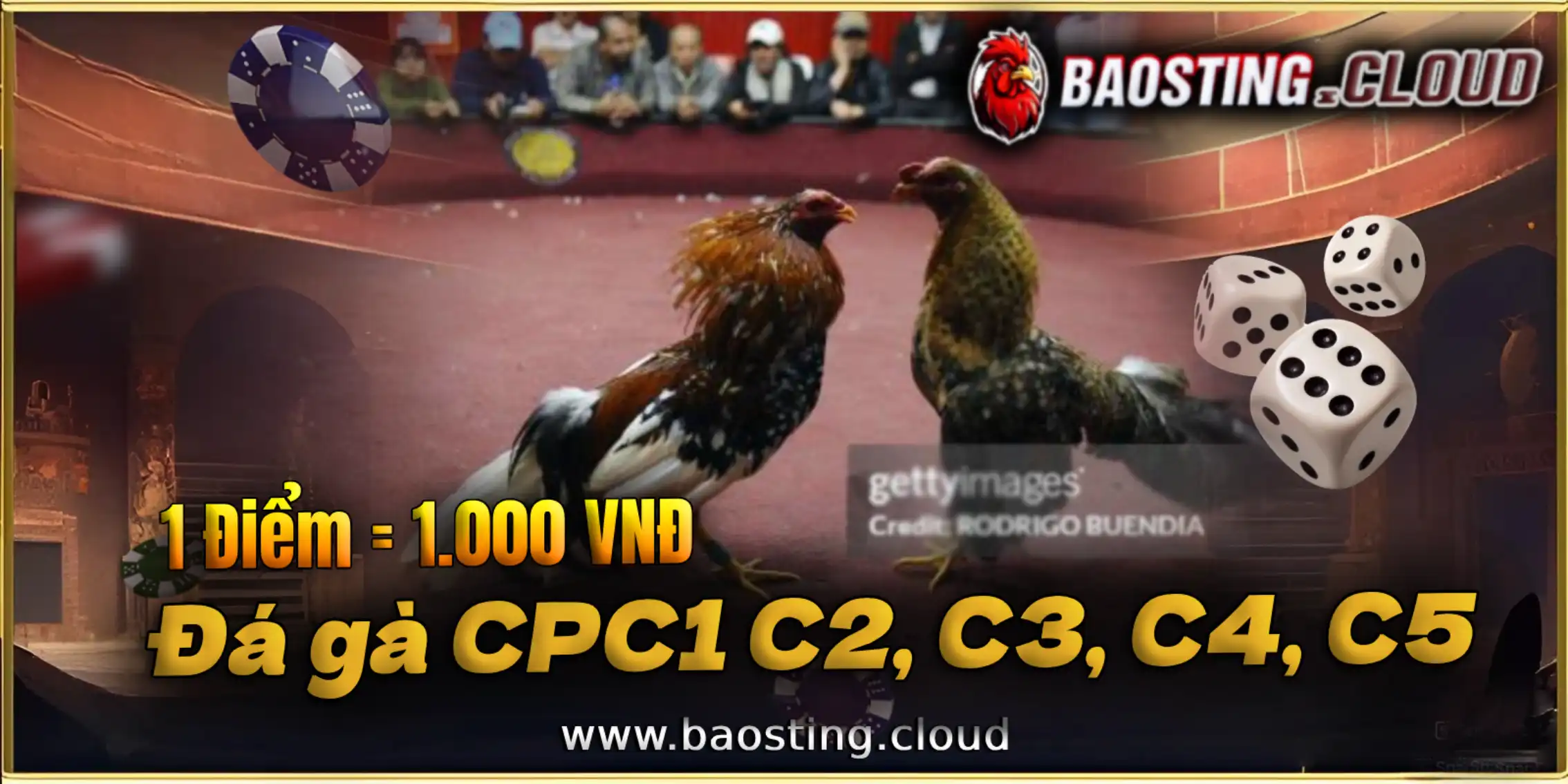 Điều khoản điều kiện Bảo mật tài khoản đá gà tại baosting