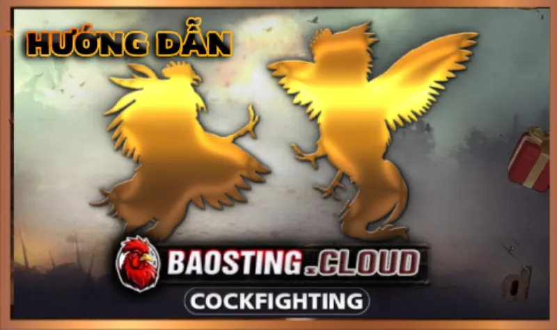 Điều khoản điều kiện Điều khiển Điều kiện tại BAOSTING