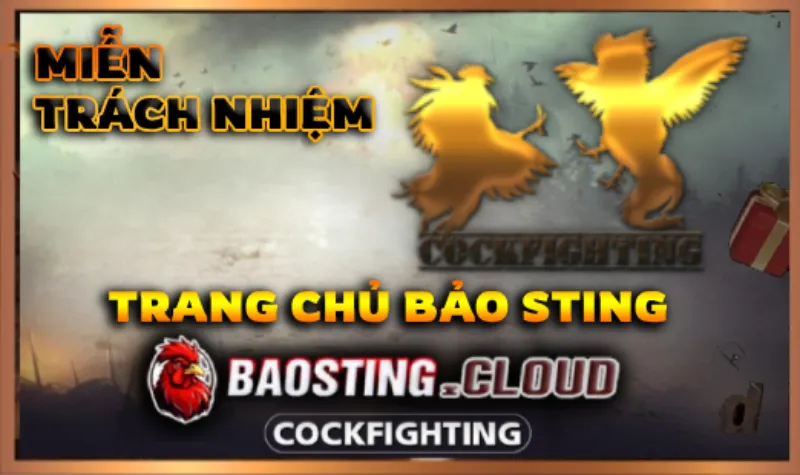 Miễn trách nhiệm chính sách miễn trách nhiệm - baosting67